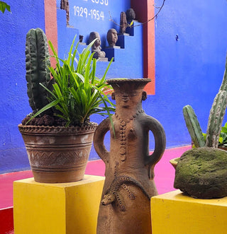 Frida’s Garden