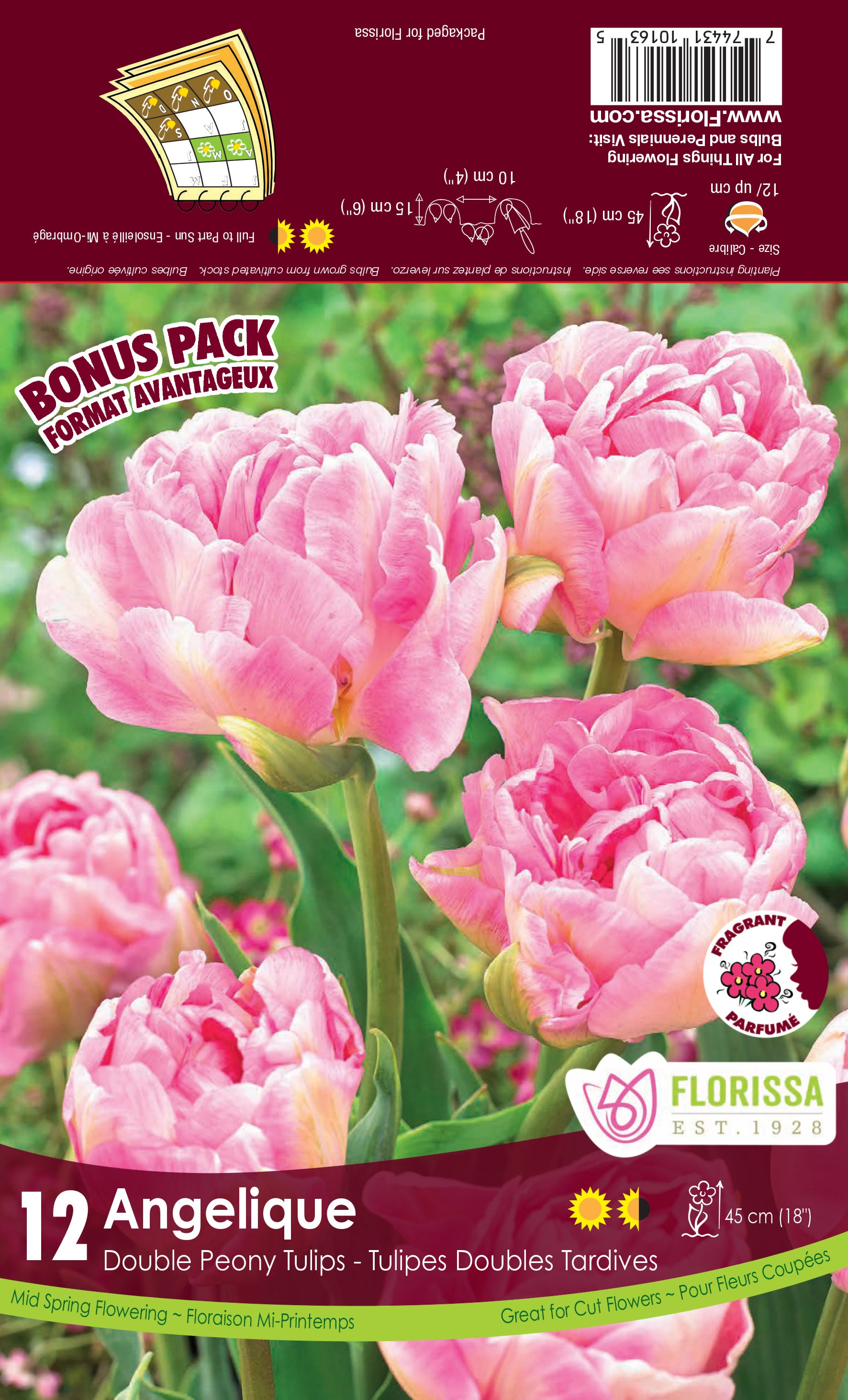 専用ページ　TULIP様 スナップ - チューリップクラフトカフェ