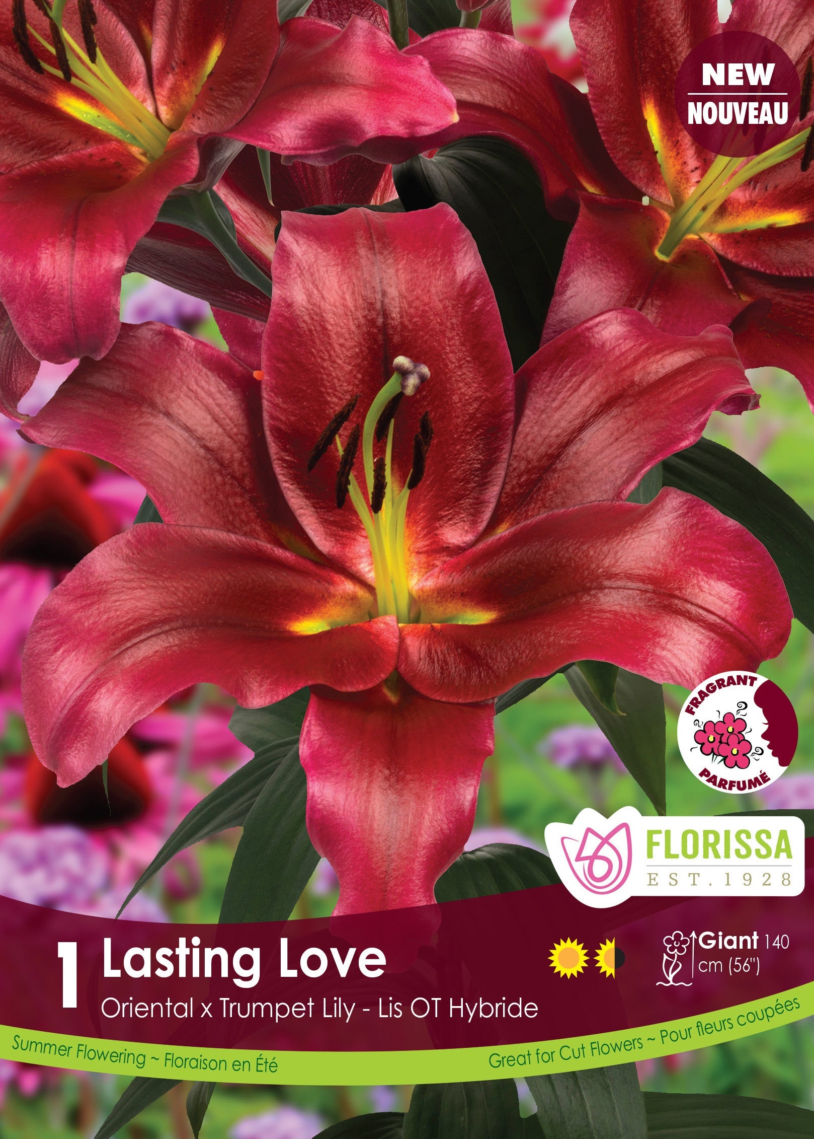 Preorder 2026 Lily Bulbs | Amsterdam Garden Centre