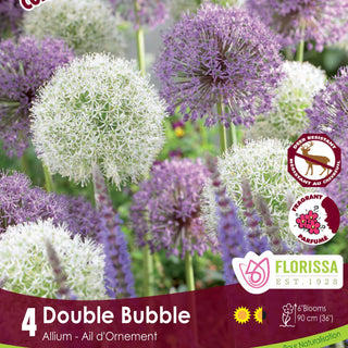 Double Bubble