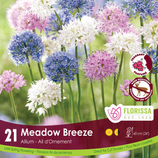 Florissa Meadow Breeze Allium flower packet with colorful flowers on a green background
