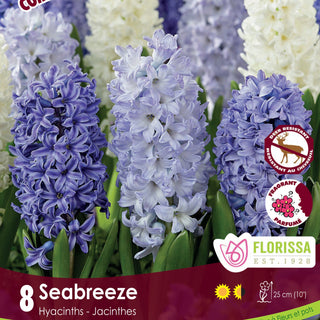 Seabreeze