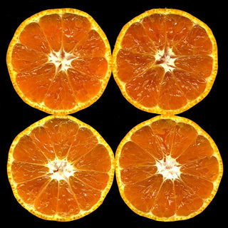China Satsuma S-6 (Citrus unshiu)