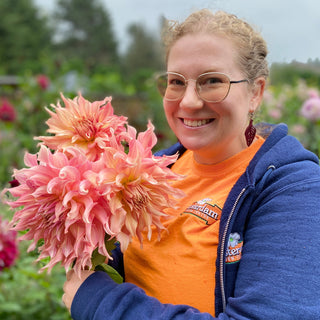 Dahlia ‘Penhill Watermelon’