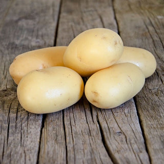 Potato ‘Goldeye’ - Earth Apples Seed Potatoes