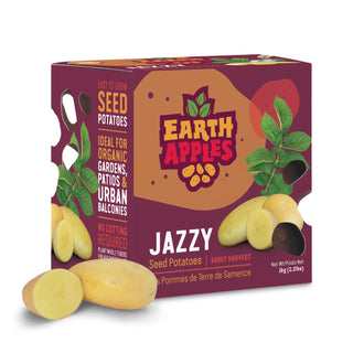 Potato ‘Jazzy’ - Earth Apples Seed Potatoes
