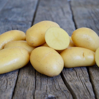 Potato ‘Jazzy’ - Earth Apples Seed Potatoes