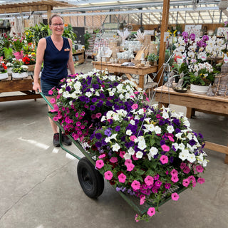 Traditional Pitt Meadows Moss Hanging Basket