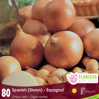 Spanish Onion Sets