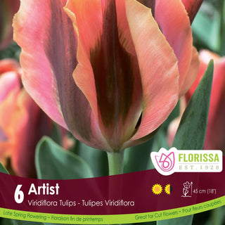 Tulip Artist