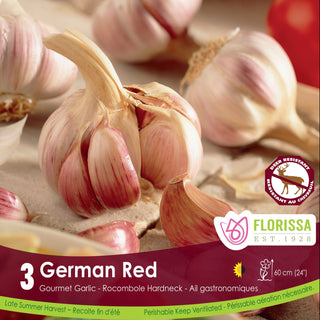 German Red Garlic