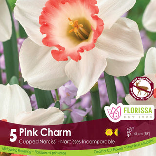 Narcissus ‘Pink Charm’