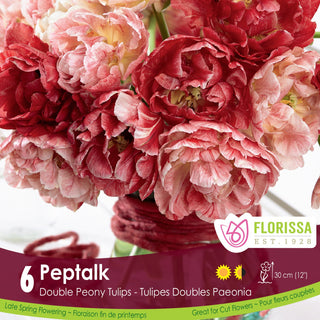 Tulip Peptalk