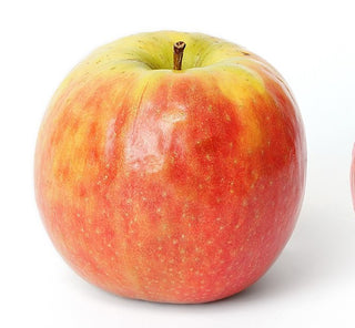 Apple - Malus domestica ‘Pink Lady’ 