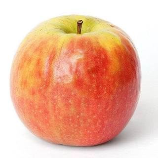 Apple - Malus domestica ‘Pink Lady’