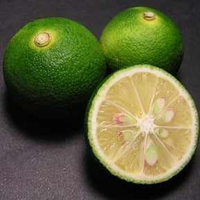 Sudachi Hybrid Yuzu (Citrus x sudachi)