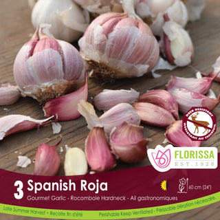 Spanish Roja Garlic