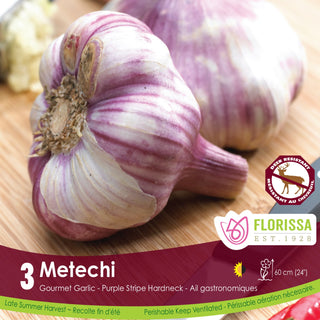 Metechi Garlic (3/pkg)