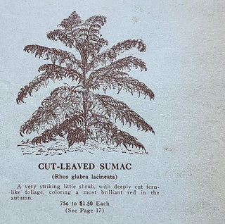 BC Garden History…Some Things Never Change