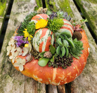 Pumpkin Decoration 2.0