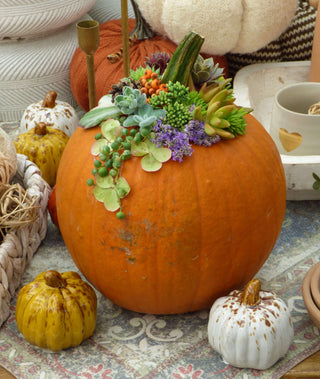 DIY Succulent Pumpkin Décor