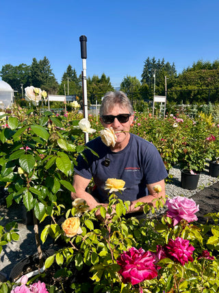 2026…A Great Year for Roses