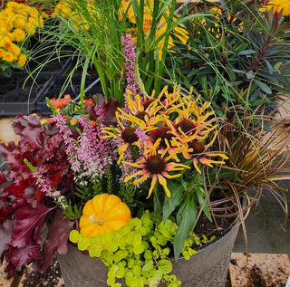 Elements of a Cool-Season Planter