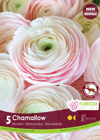 Ranunculus