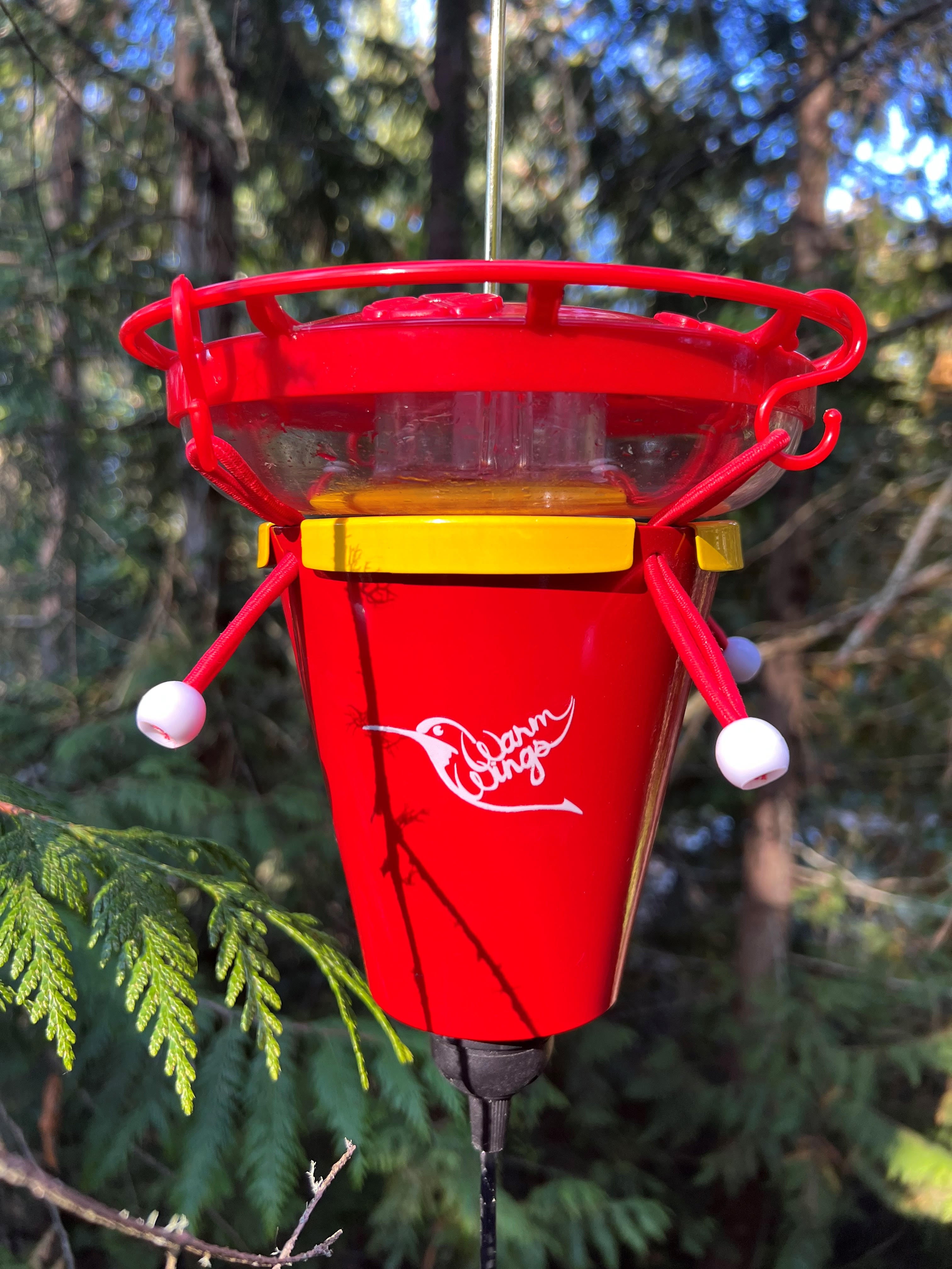 Preorder Hummingbird Feeder Heaters | Amsterdam Garden Centre