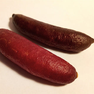 Finger Lime - ‘Byron Sunrise’