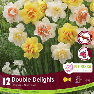 Double Delights Narcissi