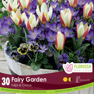 Fairy Garden Tulips & Crocus Mix