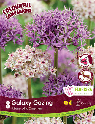 Florissa Galaxy Gazing Allium seed packet with purple and white flowers on a green background