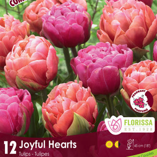 Joyful Hearts