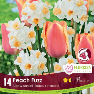 Peach Fuzz Tulips & Narcissi Mix
