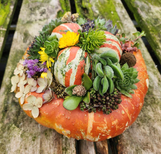 Create A Pumpkin Succulent Arrangement - October 3 (10:30AM)