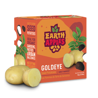 Potato ‘Goldeye’ - Earth Apples Seed Potatoes