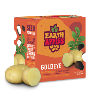 Potato ‘Goldrush’ | Earth Apples