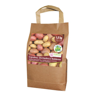 Potato Combo Bag (Organic) - C5