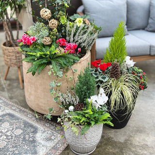 Winter planters