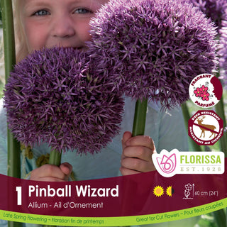 Allium ‘Pinball Wizard’