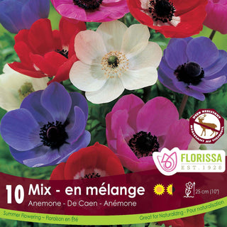 Anemone ‘De Caen Gem Mix'