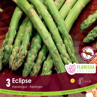 Asparagus 'Eclipse'