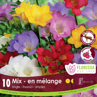 Freesia Single Mixed