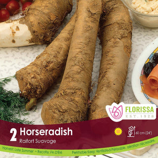 Horseradish