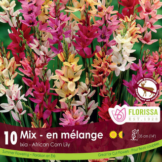 Ixia Hybrids Mixed