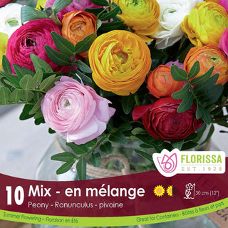 Ranunculus Peony Mixed