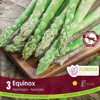 Asparagus 'Equinox'