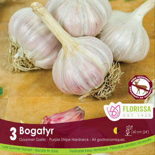 bogatyr garlic