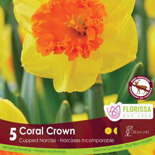 Narcissus ‘Coral Crown’